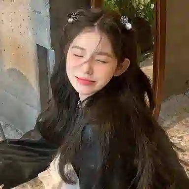 丹琴 山茶花公主头小抓夹气质小雏菊刘海夹侧边夹后脑勺半扎发卡 亚克力 发夹 女款