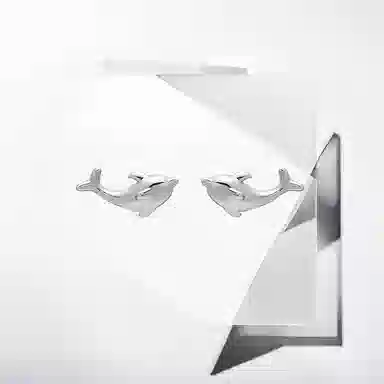 May10th S925 Earrings