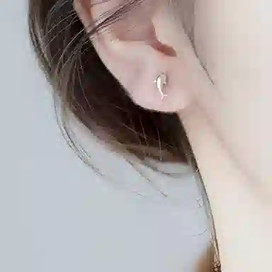 May10th S925 Earrings