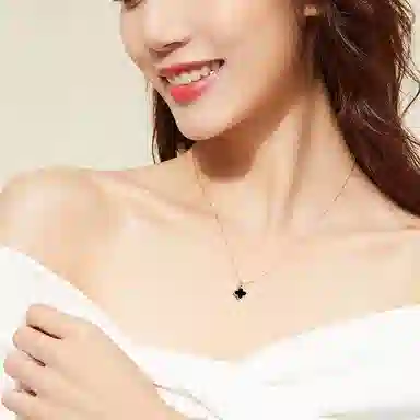 LSSW ins