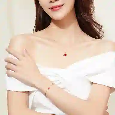 LSSW ins