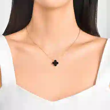 LSSW