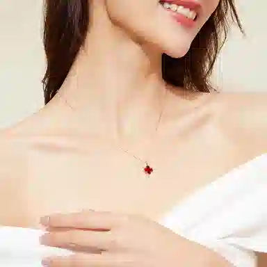 LSSW ins