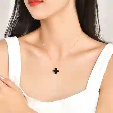 LSSW