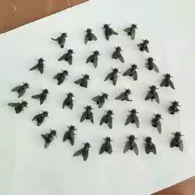 UX