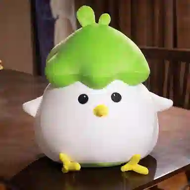 25cm45cm