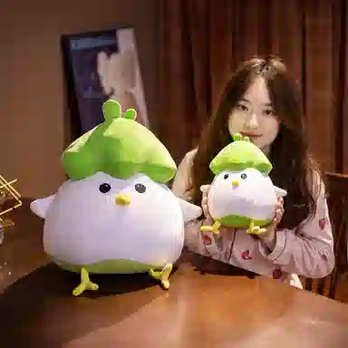 25cm45cm