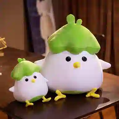 25cm45cm