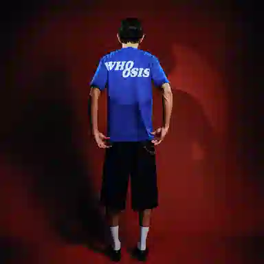 WHOOSIS SUPERMAN logoT