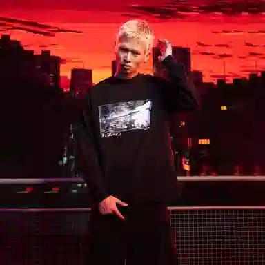 WHOOSIS easy revengeT