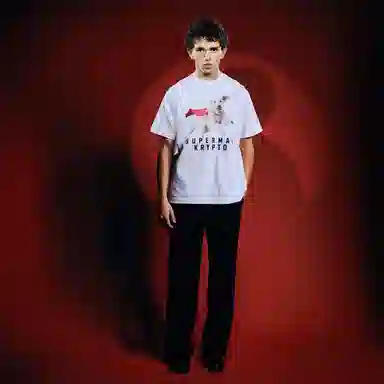 WHOOSIS SUPERMAN KRYPTOT