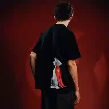 WHOOSIS SUPERMAN KRYPTO WAITT