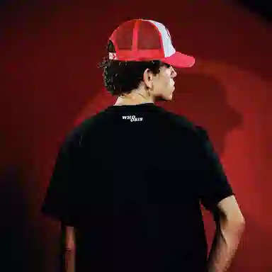 WHOOSIS SUPERMAN KRYPTOT