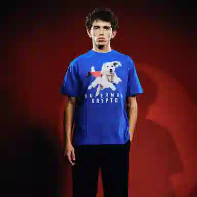 WHOOSIS SUPERMAN KRYPTOT