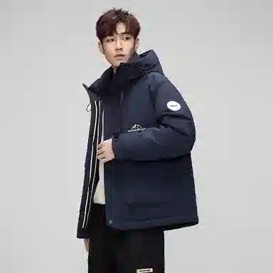 鸭鸭 时尚休闲工装短款百搭羽绒服 男款