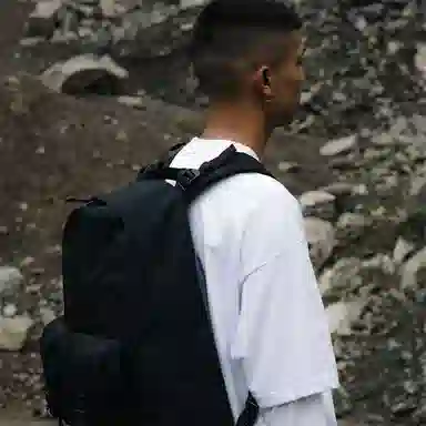 ins