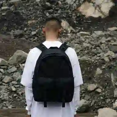 ins