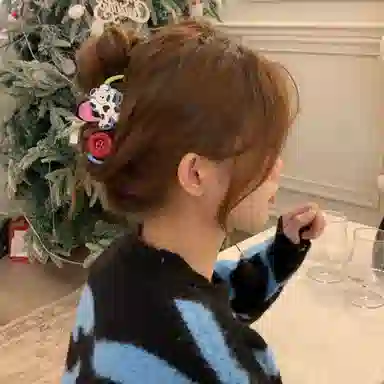 水中玉 可爱小狗纽扣波浪抓夹后脑勺夹子鲨鱼夹高级感盘发发卡 亚克力 发夹 女款