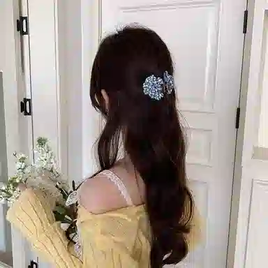 水中玉 花朵半扎发小抓夹高级感发卡后脑勺发饰发量少夹子头饰 亚克力 发夹 女款