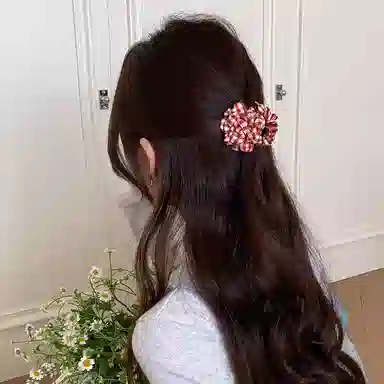 水中玉 花朵半扎发小抓夹高级感发卡后脑勺发饰发量少夹子头饰 亚克力 发夹 女款