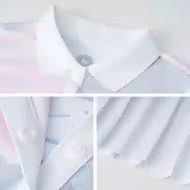 MQD POLO