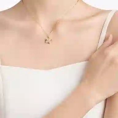ins S925