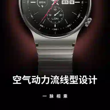 FZRT watchS3S2S1S1procolor2