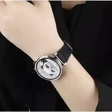 FZRT 120-220mm GT54watch5