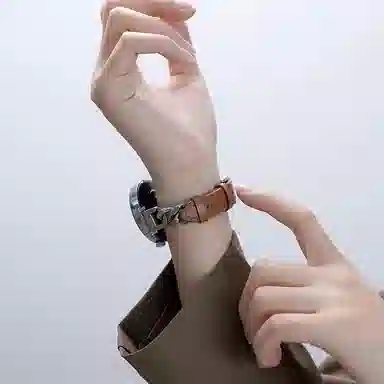 FZRT gt5GT4watchgt33PRO