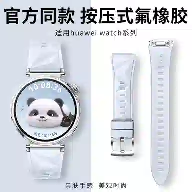 FZRT GT65GT4prowatch5