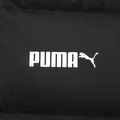 PUMA FW25 logo