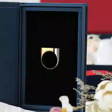 ALP JEWELRYAVIVA