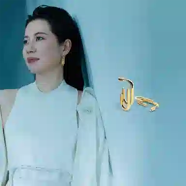 ALP JEWELRY SS-003cg 316L