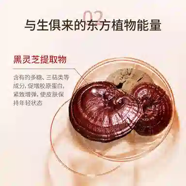 LANTERN 30ml*5