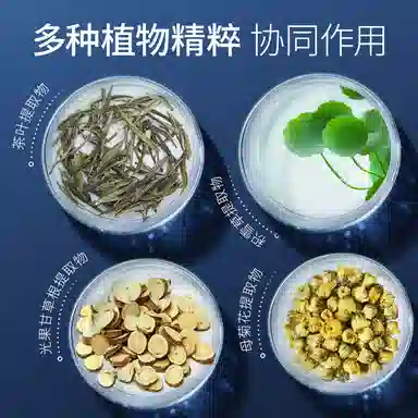 LANTERN 220ml220ml*2