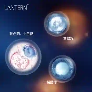 LANTERN 220ml220ml*2