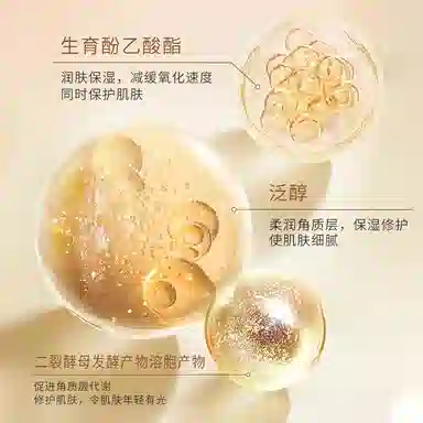 LANTERN bb 12g