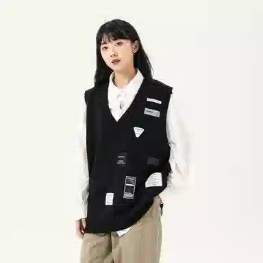 LSVE V