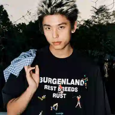BURGENLAND T