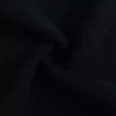 Anta