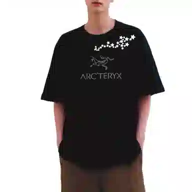 Arcteryx T