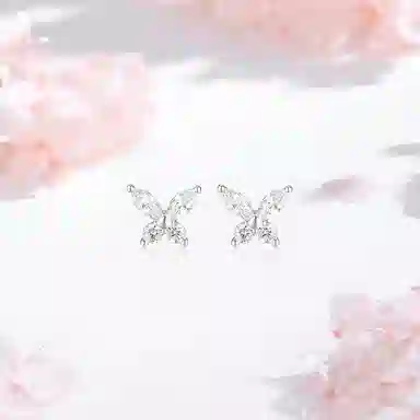SHK