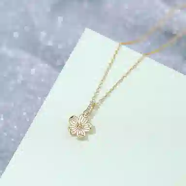SHK S925 ins