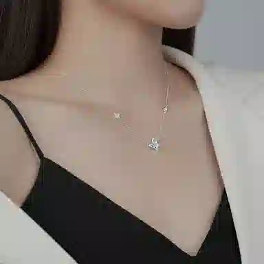 SHK ins