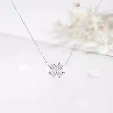 SHK