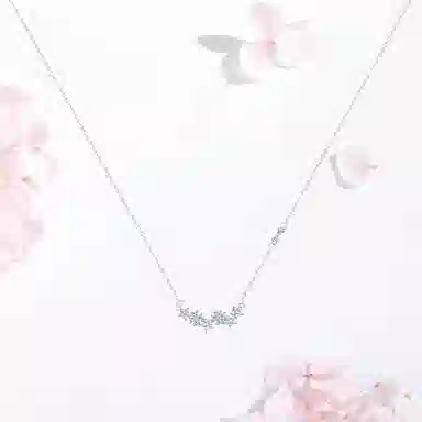 SHK