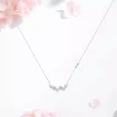 SHK