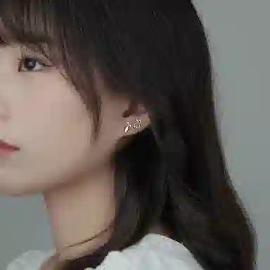 SHK S999 12