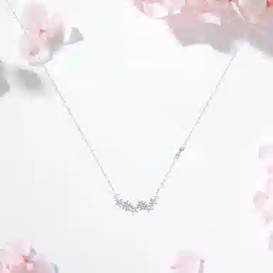 SHK