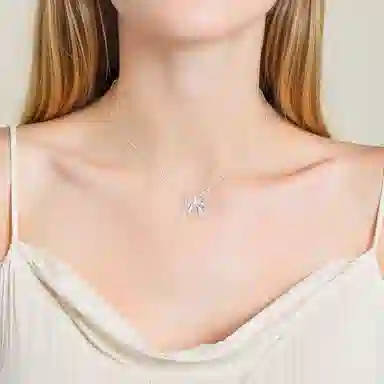 SHK